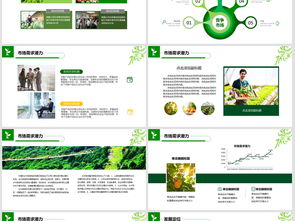 2018互联网+农副产品市场推广企业营销策划案模板与设计素材指南