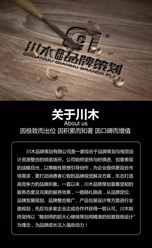 川木市场营销策划 食品界品牌营销的智造者