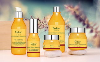 如何选择专业的食品包装设计公司 以上海美御包装设计为例，解析包装设计与市场营销策划的融合之道