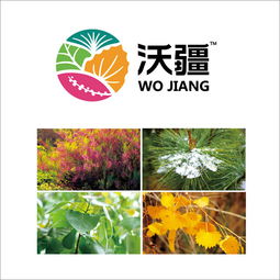如何选定一个靠谱北京营销策划公司｜以福来品牌实战经验为例，升级你的全案战略